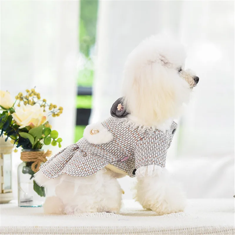 New Pet Dog Clothes Autumn and Winter New Teddy Small Dog Cat Warm Princess Dress Thickened Party Costume Dog Coat