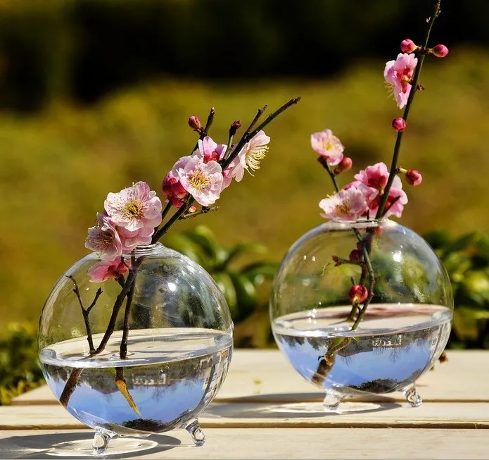 

Breath of spring round transparent glass hydroponic vase tabletop fishbowl flower arrangement utensils office plant decoration