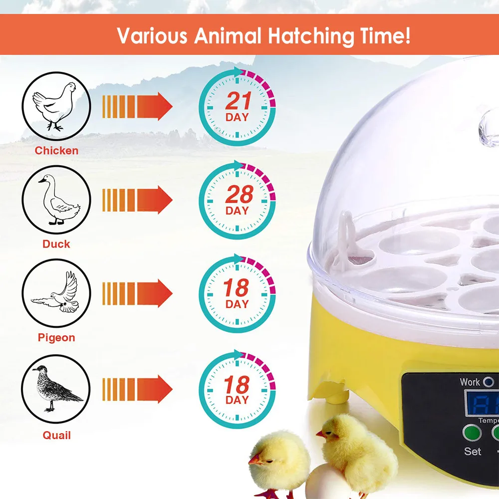 

Mini Egg Incubator 7 Eggs Automatie Incubators For Hatching Goose Chicken Duck Eggs Intelligent Temperature Control Incubators