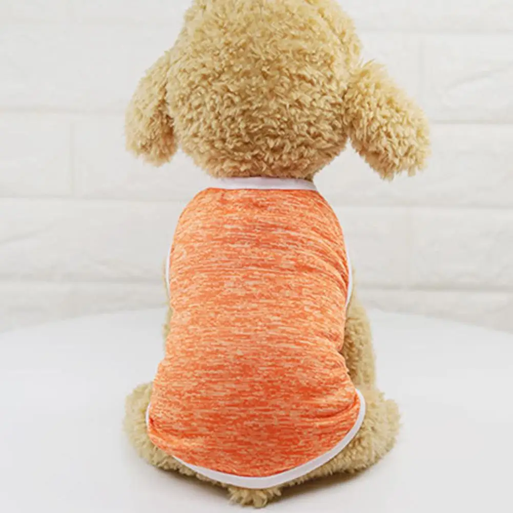 Модная мягкая классическая женская зимняя теплая хлопковая куртка для собак и