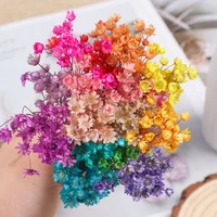 30pcs beautiful diy crafts home decor wedding supplies dried flowers mini daisy floral bouquets small star natural plants vivid