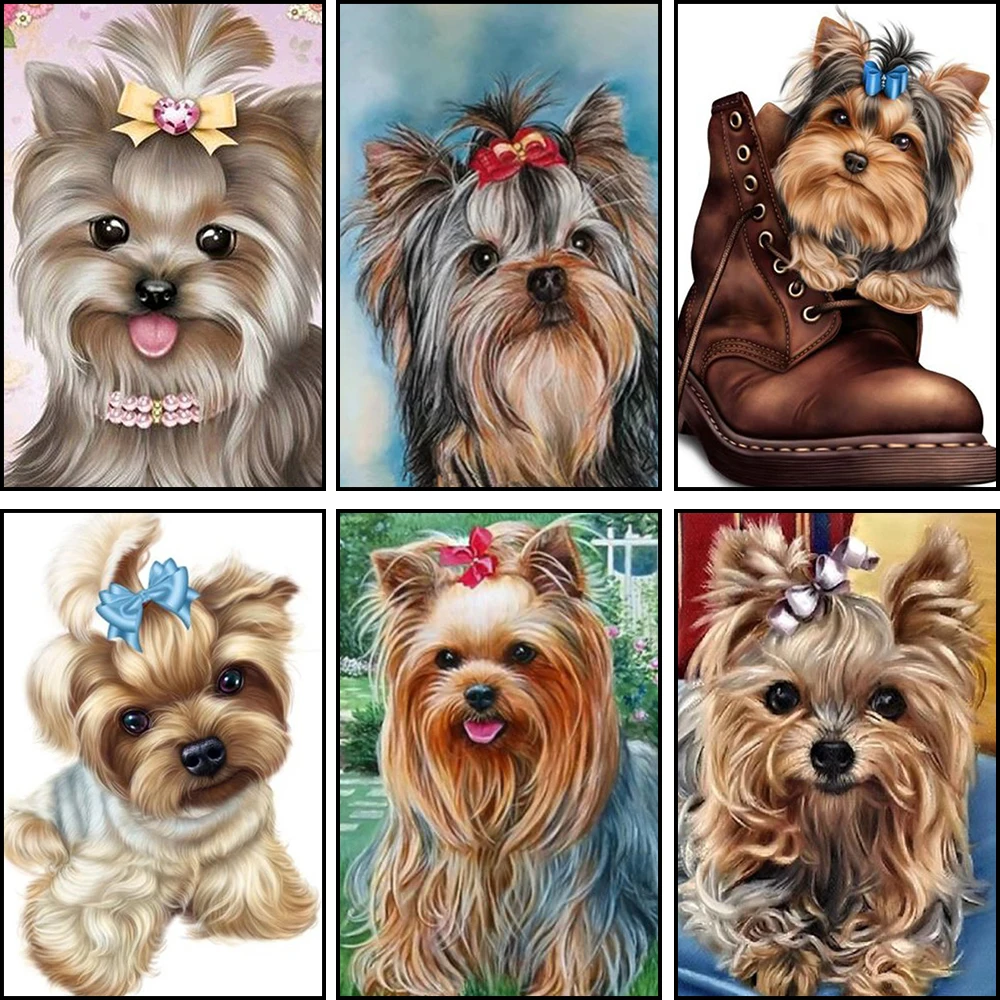 Wen Zuan 5D DIY Diamond Painting 