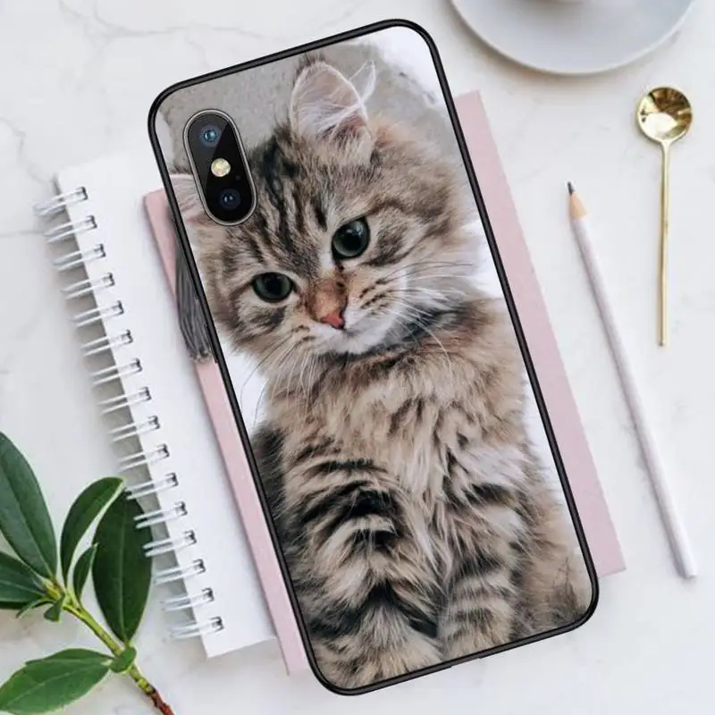 

Cute animal cat Phone Cases for iPhone 11 12 pro XS MAX 8 7 6 6S Plus X 5S SE 2020 XR Luxury brand shell funda coque