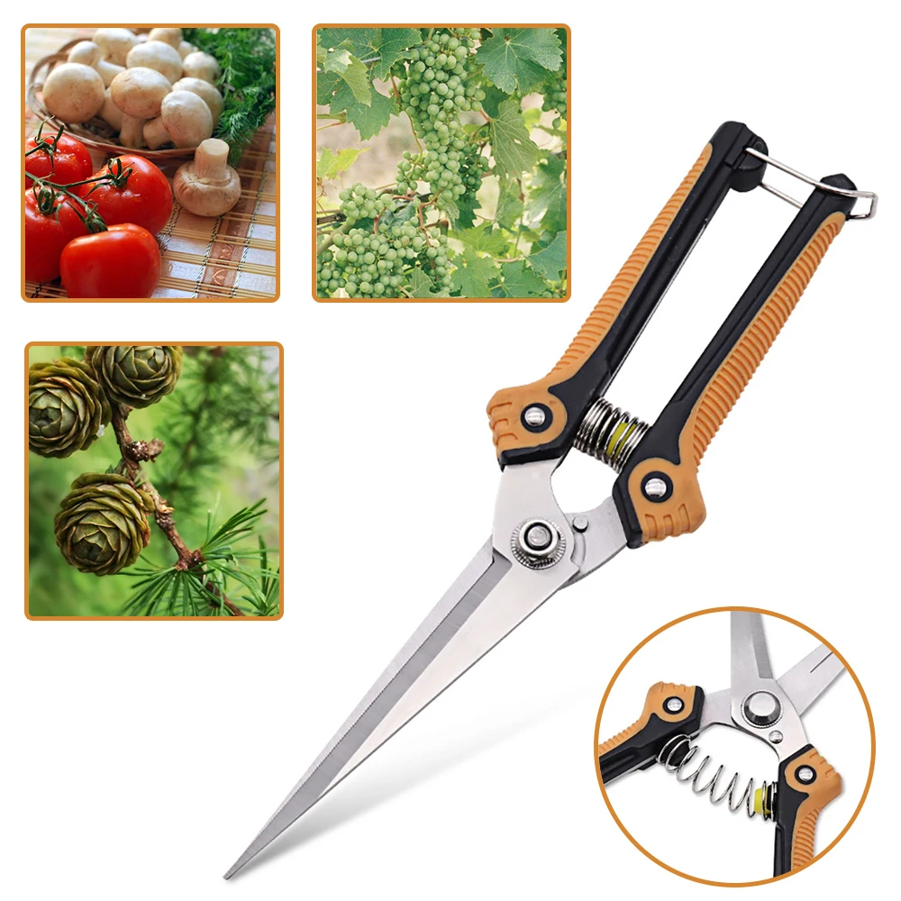 

Garden Hand Tools Pruning Shears Secateurs Bonsai Pruner Plants Gardening Scissor Metal Fruit Picking Elbow Grape Pruning Shears