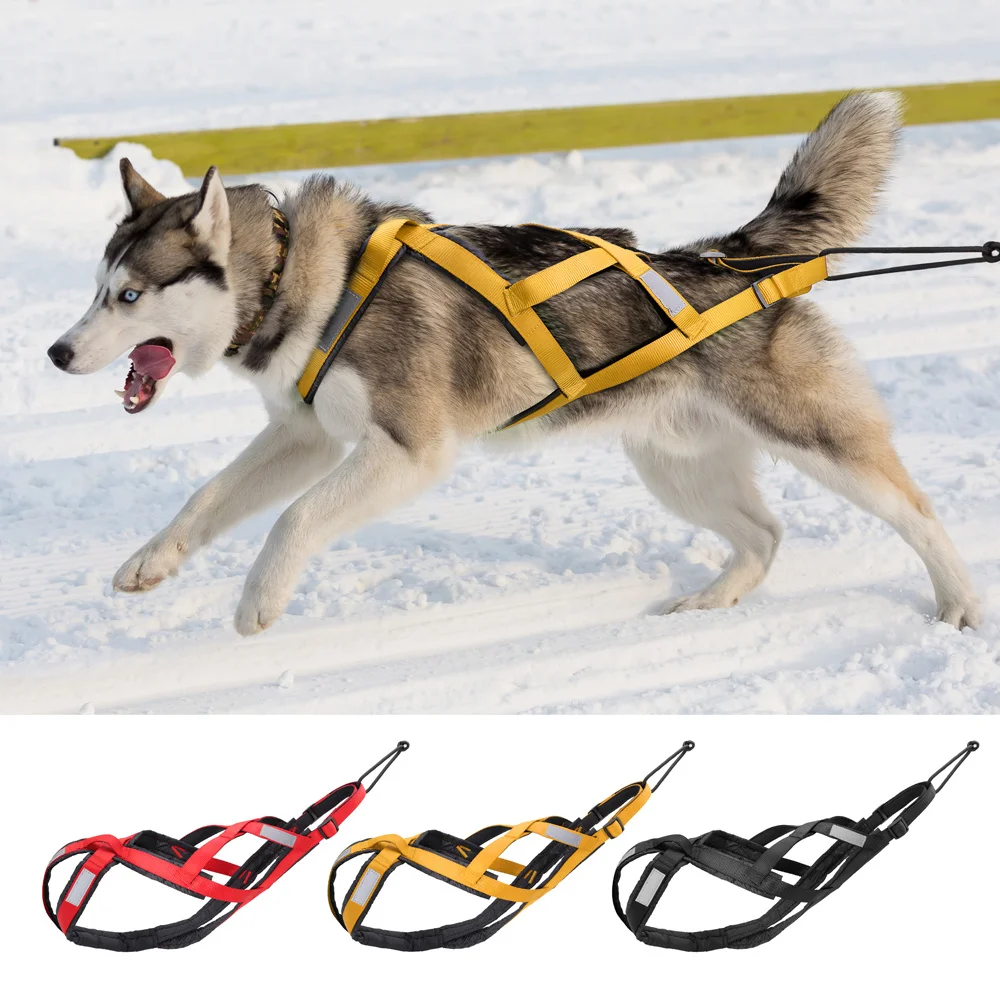 

Large dog sled harness, an accessory for pulling the weight of pets, with an X-shaped back, for skiing and skating
