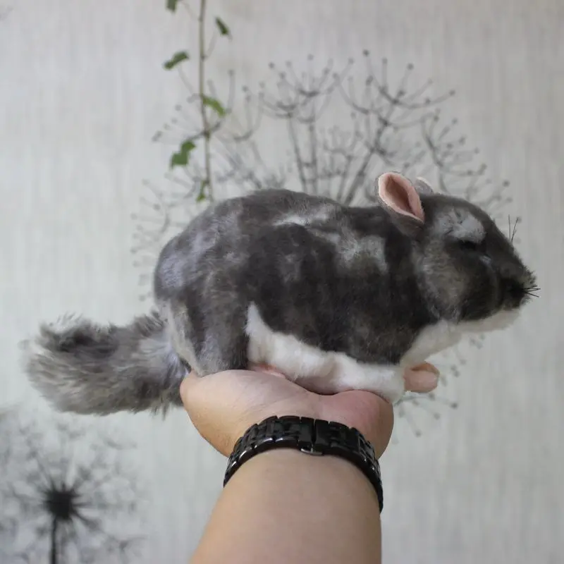 Kawaii моделирование Chinchillidae плюшевые игрушки мини шиншиллы плюшевая кукла, имитация мыши мягкие игрушки для детей
