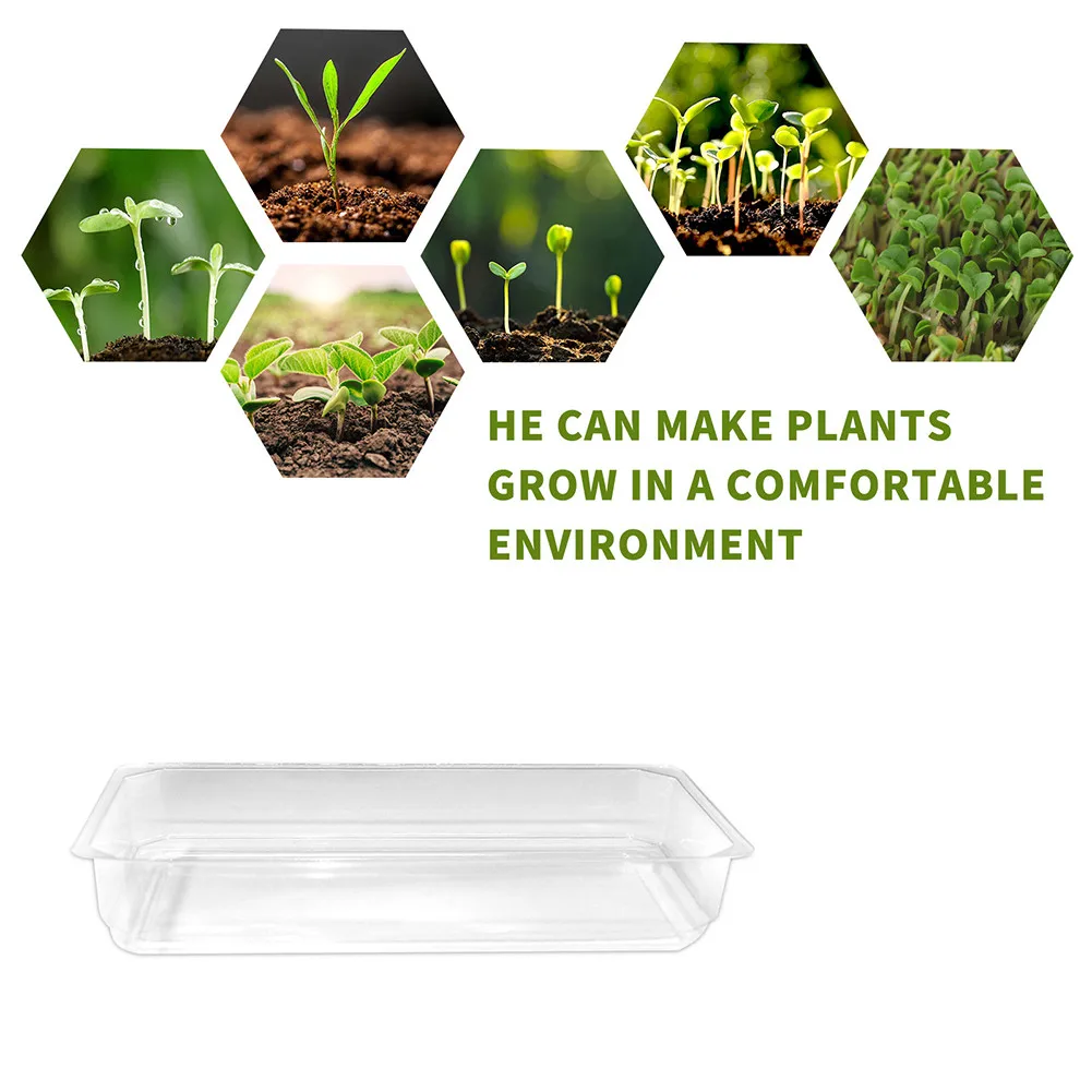 

Plate Pot Box Pot Professional Reusable Transparent Washable Accessories