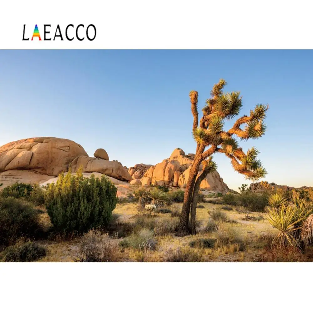 Laeacco фон для фотосъемки с природным видом пустынный кактус камень рок кустарник