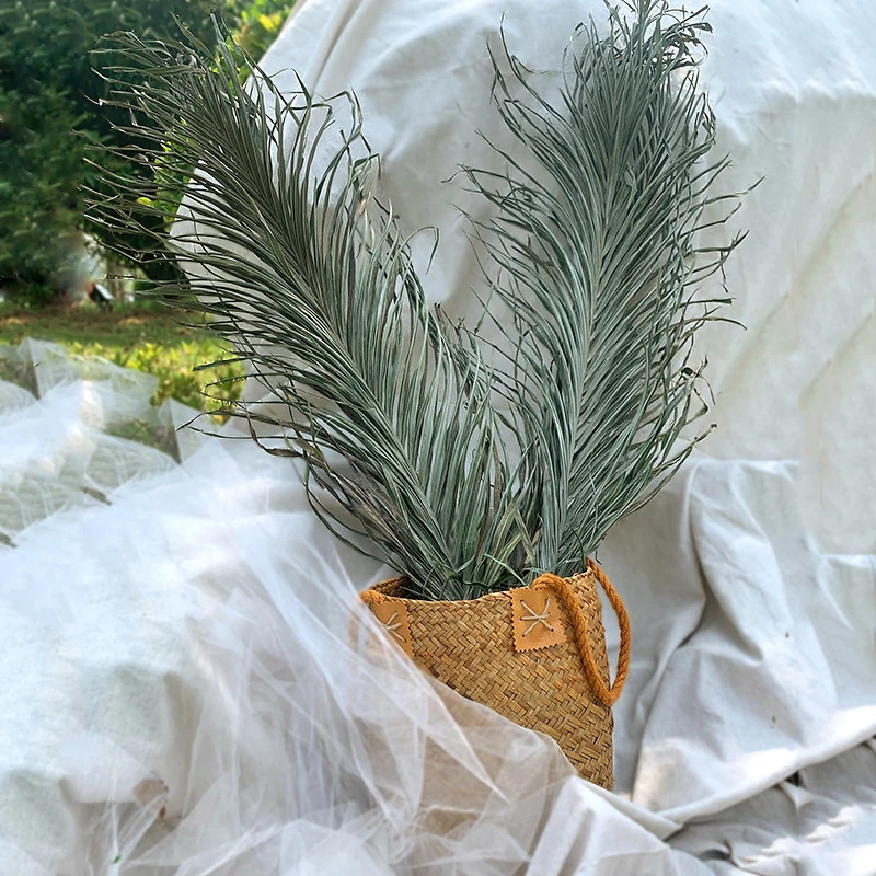 Пальмовый веер JAROWN сушеный цветок пальмовый лист на окно приемную вечеринку