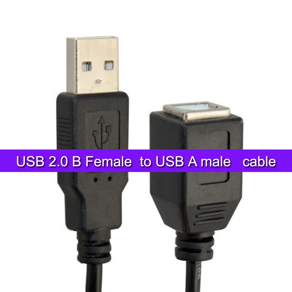 

20CM USB 2.0 B Female to USB A male cable