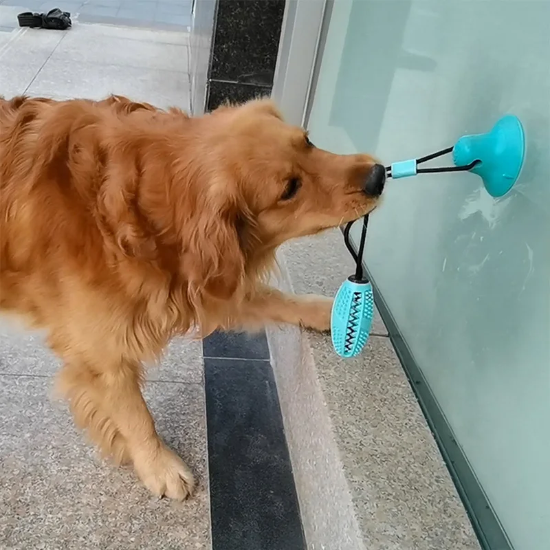 Molar Bite Interactive Dog Toy with Durable Rope Pet Toys Suction Cup Tooth Cleaning Chewing Rubber | Дом и сад
