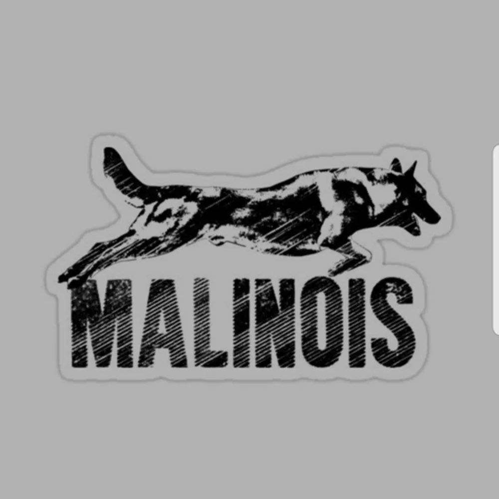 

Waterproof and sunscreenCar stickers and decals Malinois, Belgium, car waterproof and shielding scratch, suitable for door