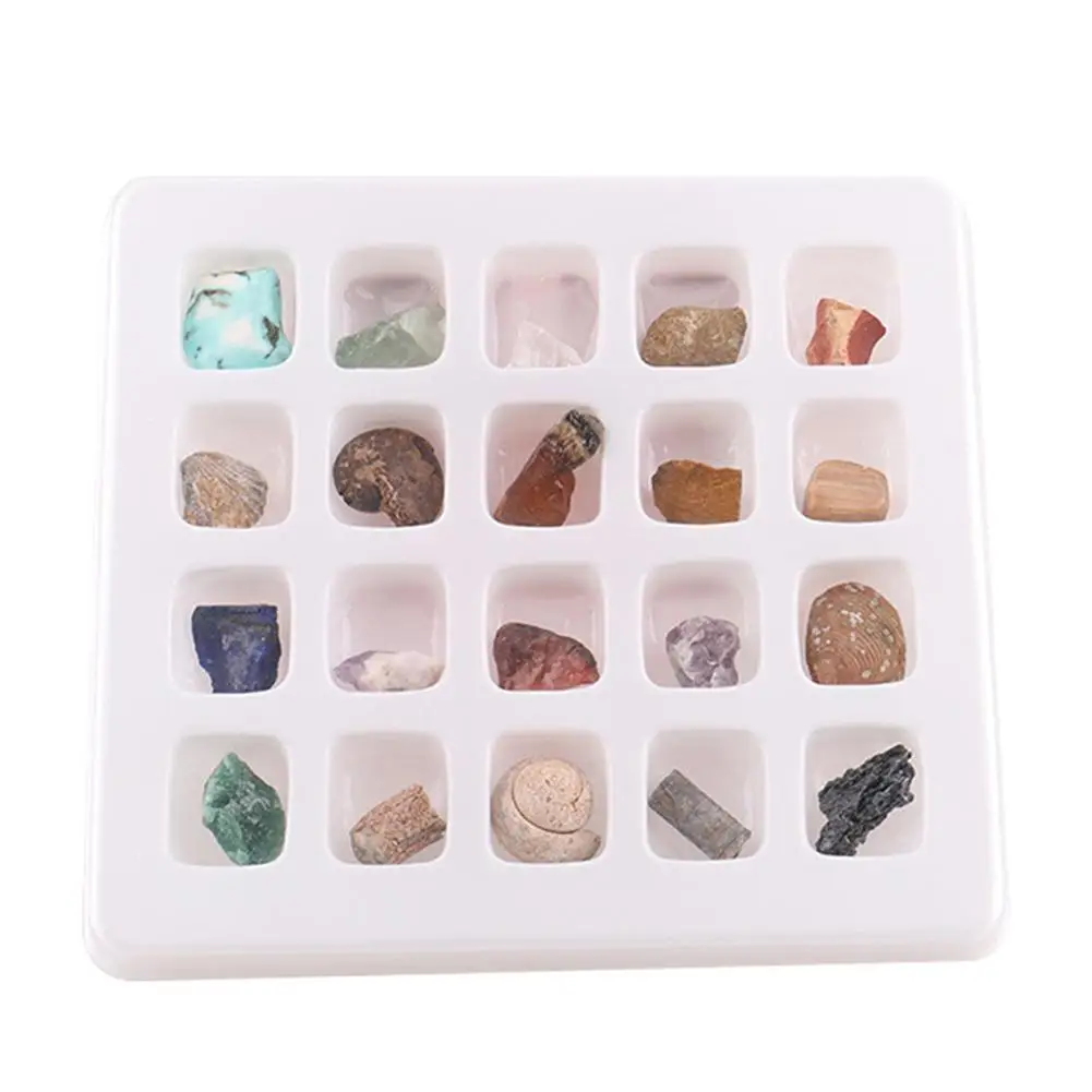 20 шт./компл. окаменелости руды набор орнамент натуральный камень ремесло