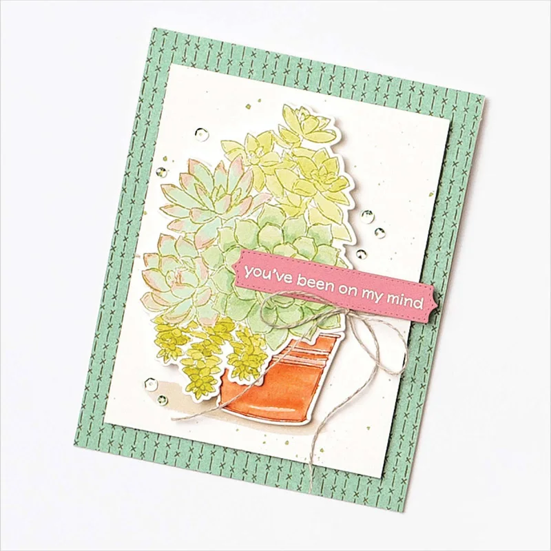 Просто суккуленты набор для стемпинга и координации умирает цветочный горшок