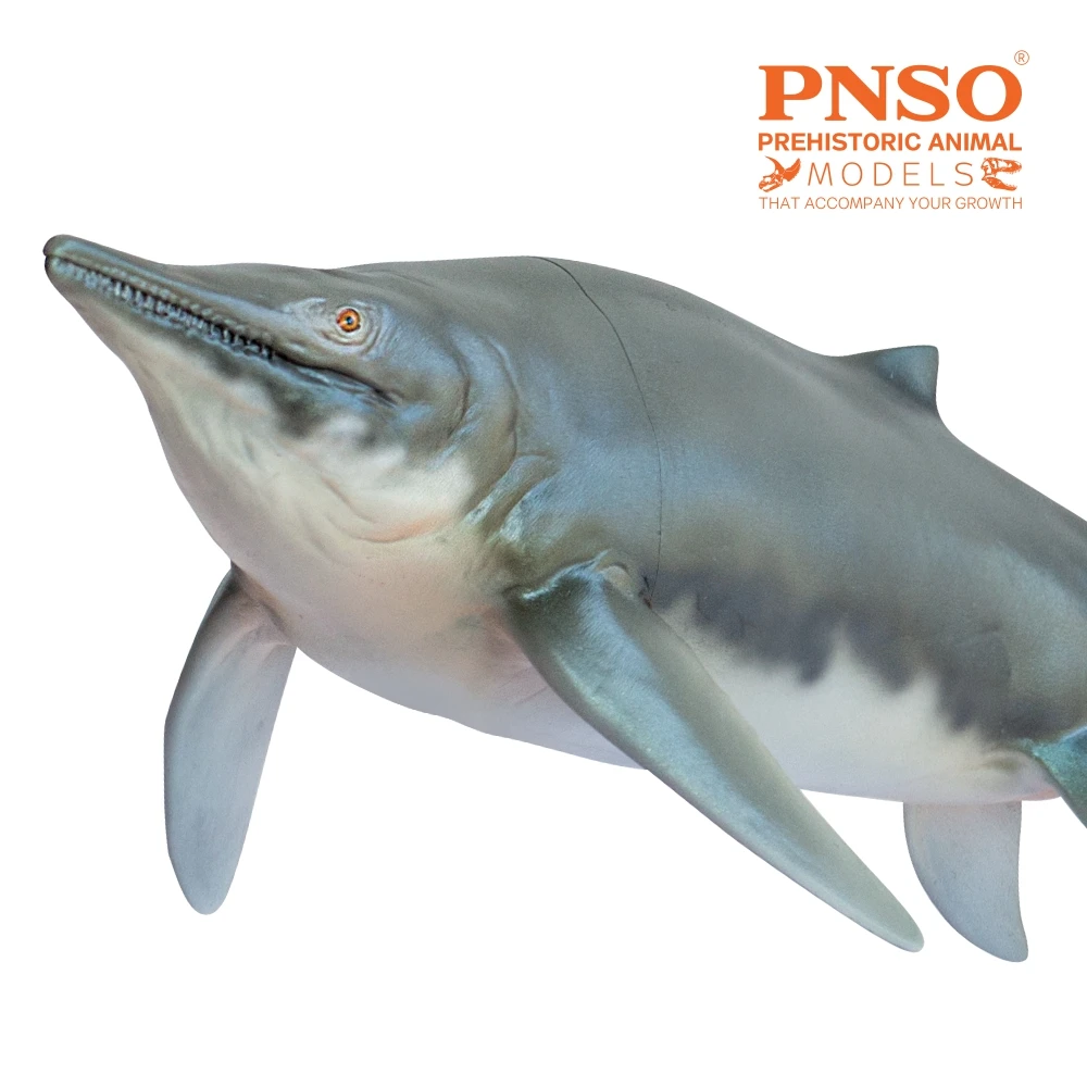 PNSO-modelos de dinosaurios prereligiosos, modelo: 55Tucson, El Himalayasaurus-2