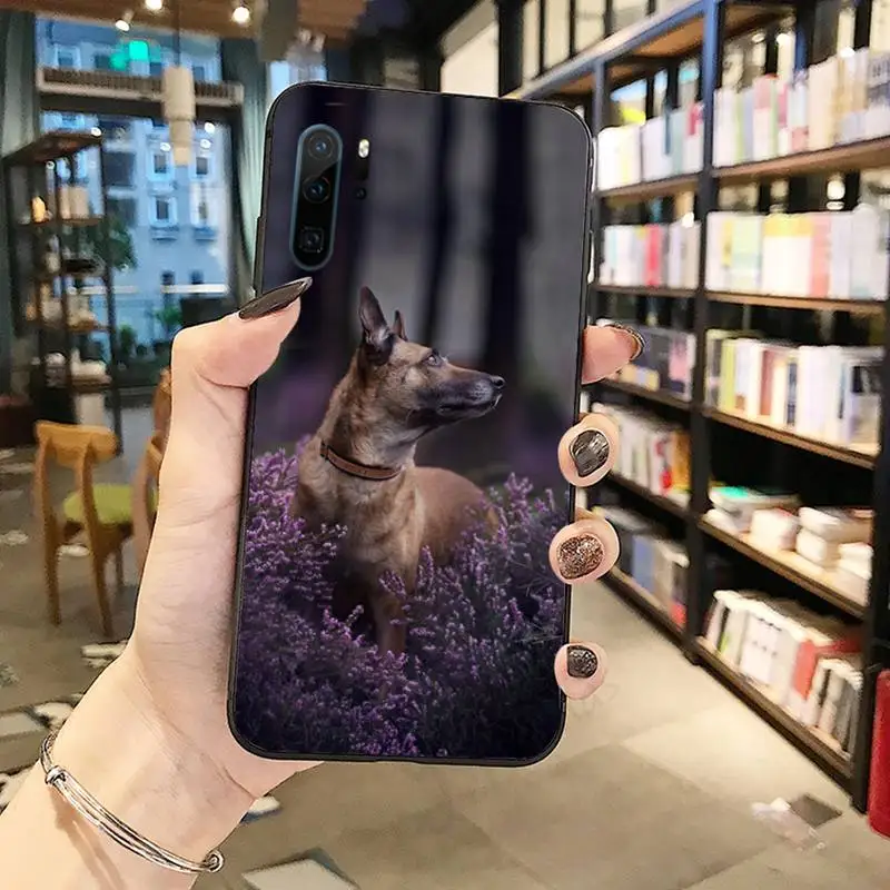 

Malinois dog animals Phone Case For Huawei P9 P10 P20 P30 Pro Lite smart Mate 10 Lite 20 Y5 Y6 Y7 2018 2019