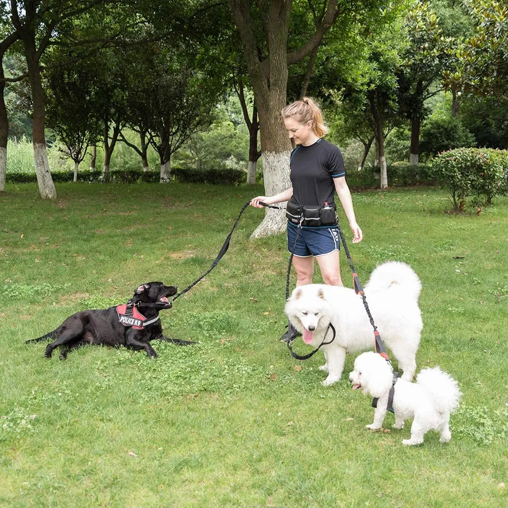 

Pet dog cat running retractable belt reflective elastic band walking training dog leash collar set