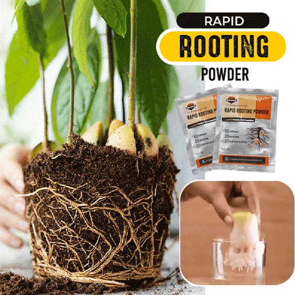 

30g Fast Rooting Powder Bonsai Plant Rapid Growth Root Medicinal Hormone Regulators Growing Germination Aid Fertilizer Garden