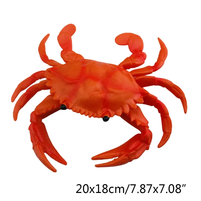 

Lobster Shape Realistic Model Simulation Sea Life Animals Shape Children's Drawing Teaching Aids Educational Toys