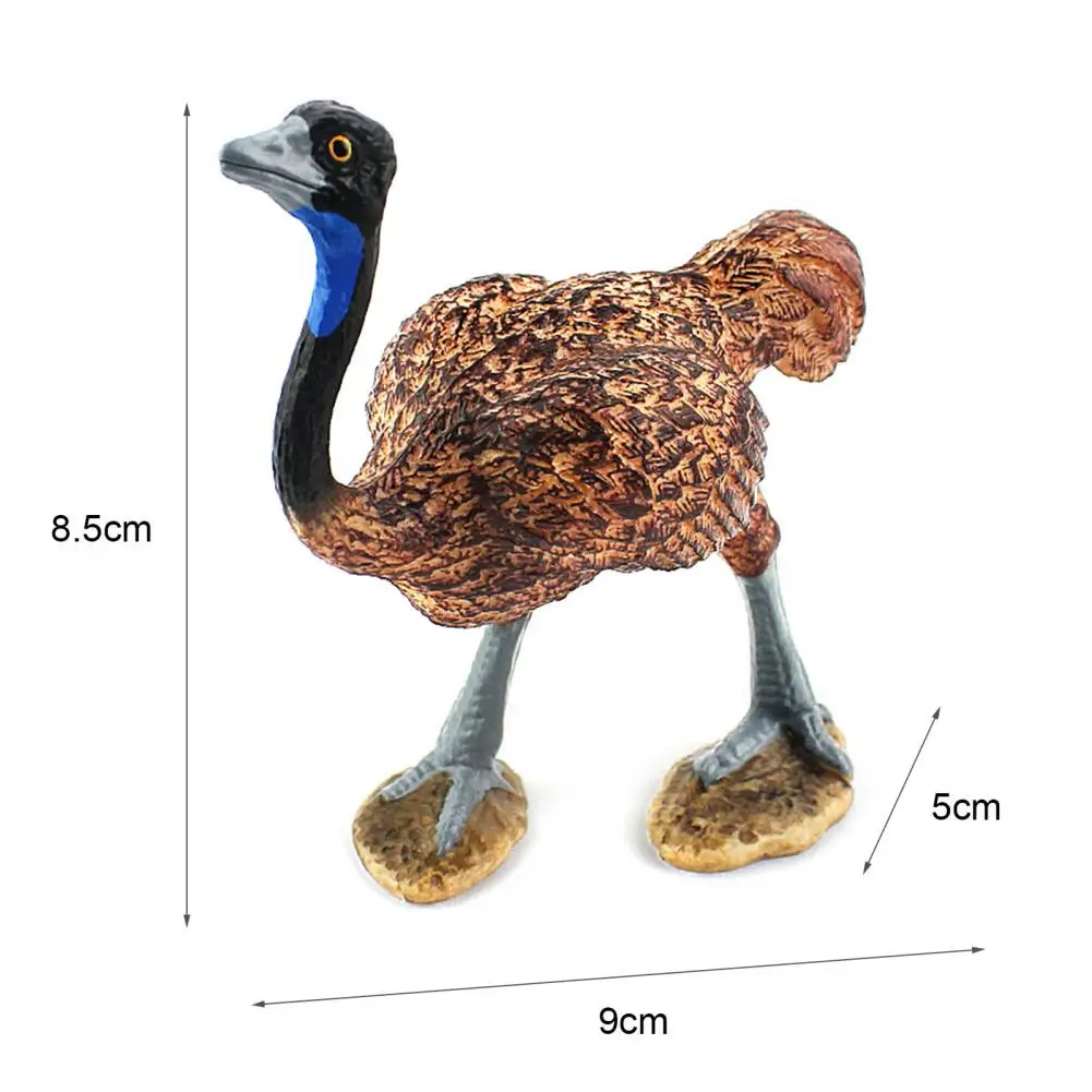 

Simulation Ostrich Design Model Display Action Figures Collection Mold Home Desktop Ornament Educational Toy for children Gift