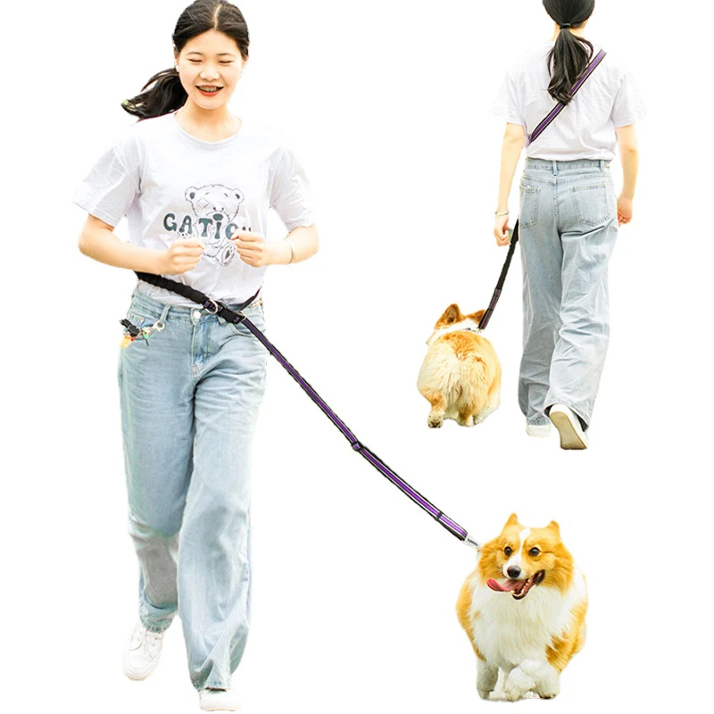 

Nylon Dog Leash Traction Rope Free Hands Pet Leashes Lead Belt Reflective Training Running Strap for Small Large Dog Accessories