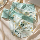 Трусы женские, хлопок, цвет в ассортименте, M L XL XXL, 5 шт.лот