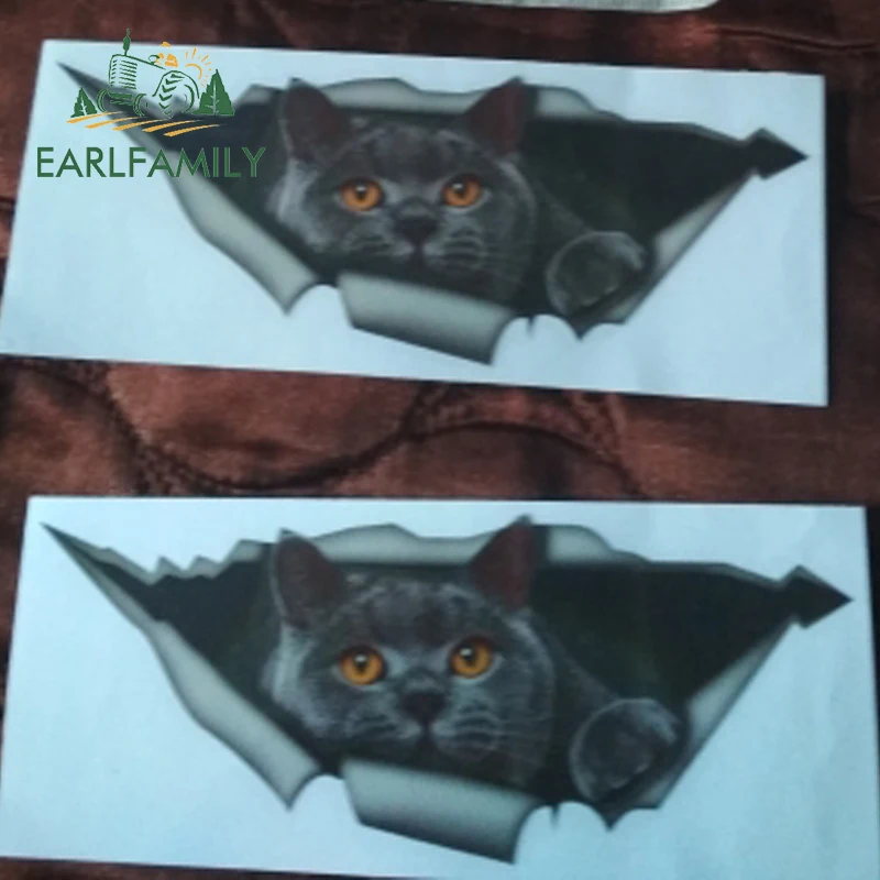 EARLFAMILY 15 см x 6 см Британский короткошерстный Забавный автомобильный стикер кот серый Кот Наклейка Водонепроницаемый 3D автомобильный Стайлинг стикер s украшение