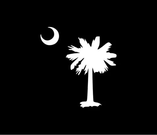 Наклейка на окно пальмы пальма пляж луна Южная Каролина 15 см | Игрушки и хобби