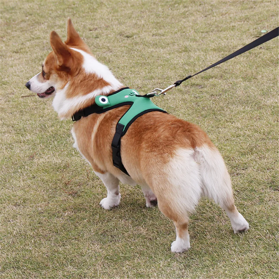 

Dog Leash Vest, Frog Embroidery, Vreathable Sandwich Net, Dog Harness, Corgi Teddy, Suitable For Small Dogs, Adjustable