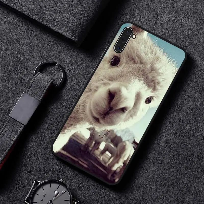 

Lama Llama Alpacas Animal Phone Case For Samsung galaxy A S note 6 7 8 9 10 20 30 50 51 70 edge plus lite