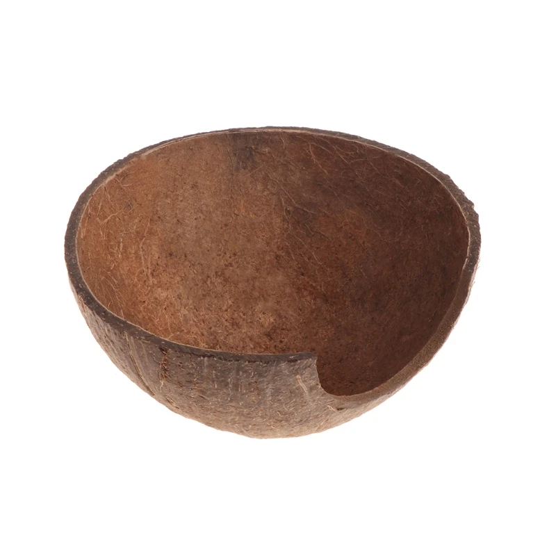 Прямая поставка натуральная Кокосовая Скорлупа ящерица паук|Террариумы| |