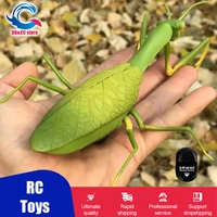 rc animal robot antistress insect toys infrared simulation spider bee fly mantis electric toy for children prank insects pet toy