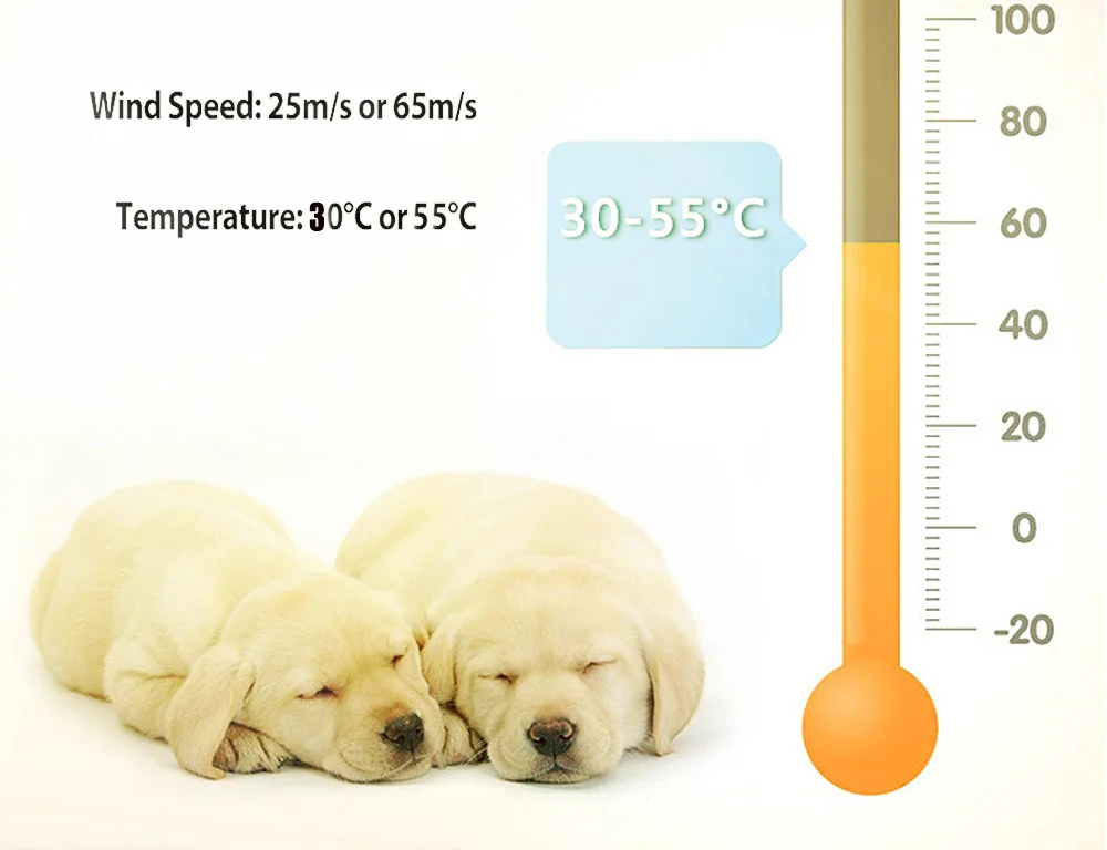 Фен для собак, низкий уровень шума, фен для собак, мощный Фен для домашних животных, бесступенчатая скорость для сушки собак