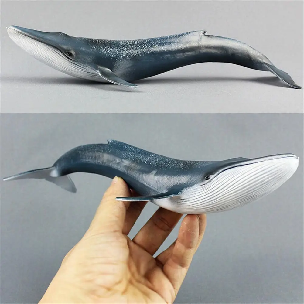 27 см Моделирование КИТ океан Sealife животные PVC Моделя с хорошим спросом детская