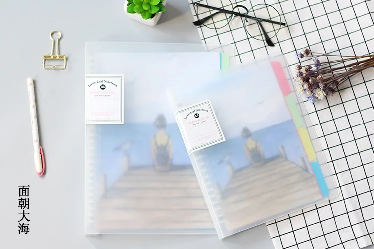 Светло-серый Agenda cuadernos escolares para el colegio spiral a4 a6, школьный Переплетчик, книга для путешествий, милый ежедневник, Переплетчик для школы - Цвет: Светло-серый