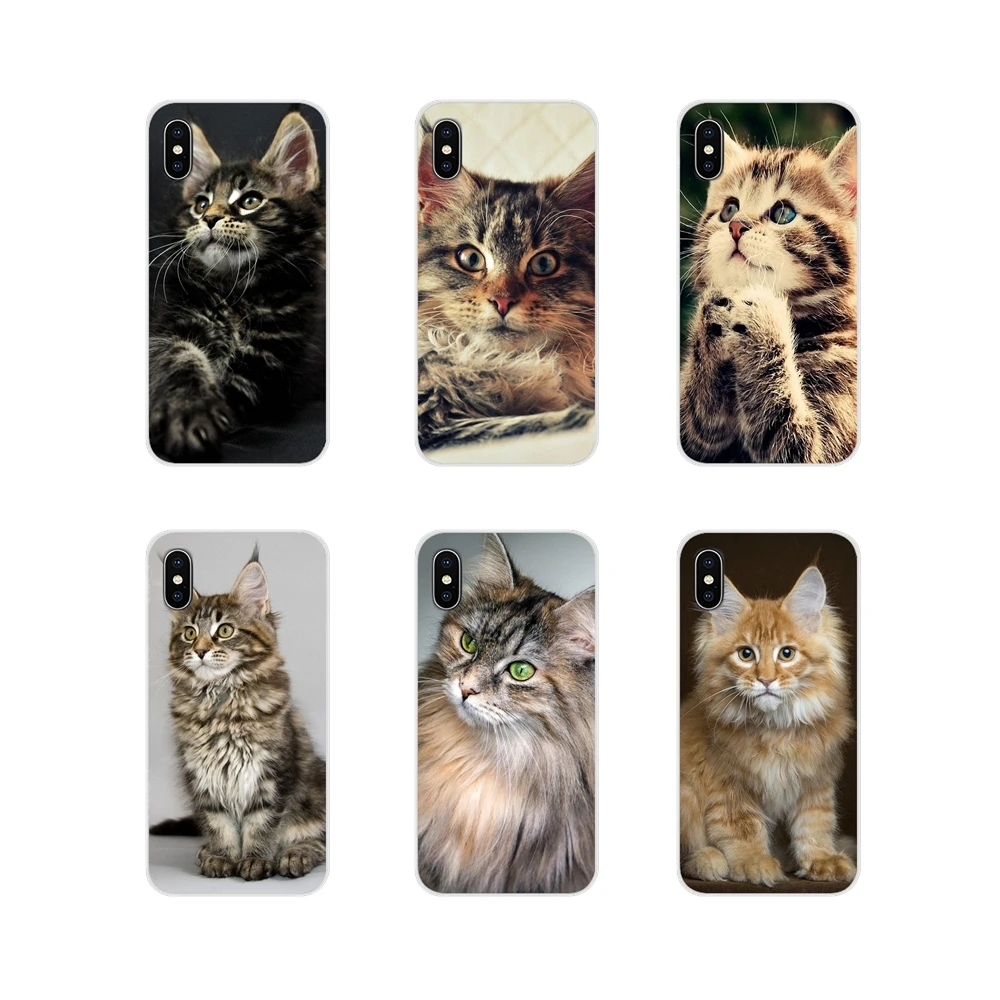 Аксессуары чехлы для телефонов Samsung Galaxy A3 A5 A7 A9 A8 Star A6 Plus 2018 2015 2016 2017 Pet мейн енот