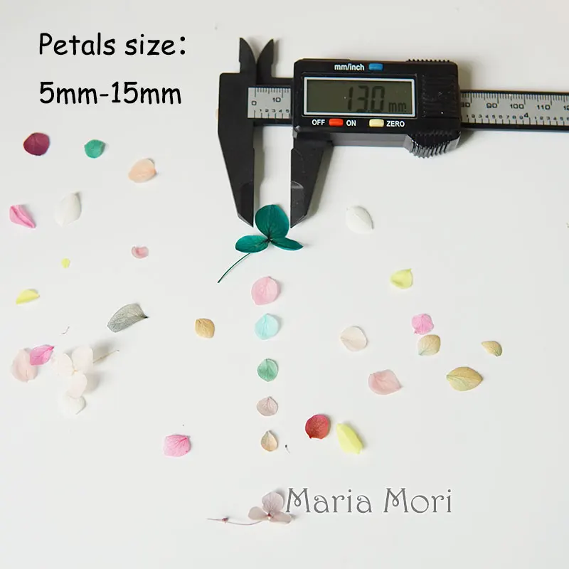 Гортензии Анны цветы маленькие листья сохраненные гортензии декор для офиса