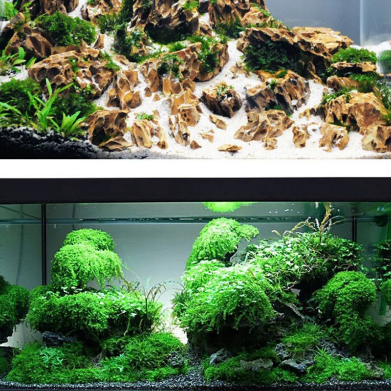 Водяной траве вода клея и травяное озеленение клей мох Горячая