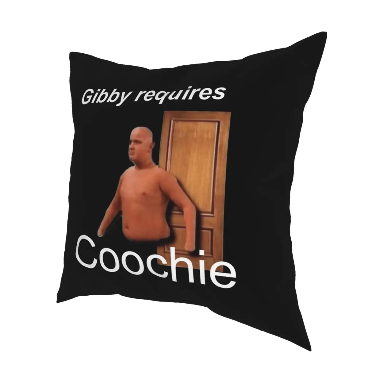 Gibby требует Coochie квадратная наволочка полиэстер печатных Декор Чехлы на подушки