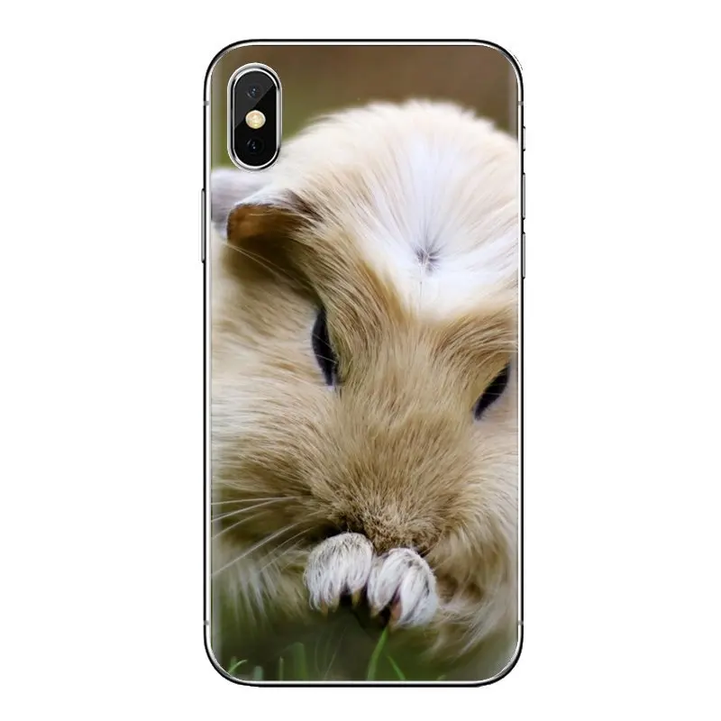 For Samsung Galaxy S2 S3 S4 S5 MINI S6 S7 edge S8 S9 Plus Note 2 3 4 5 8 Coque Fundas Silicone Phone Case cute animal Guinea pig |