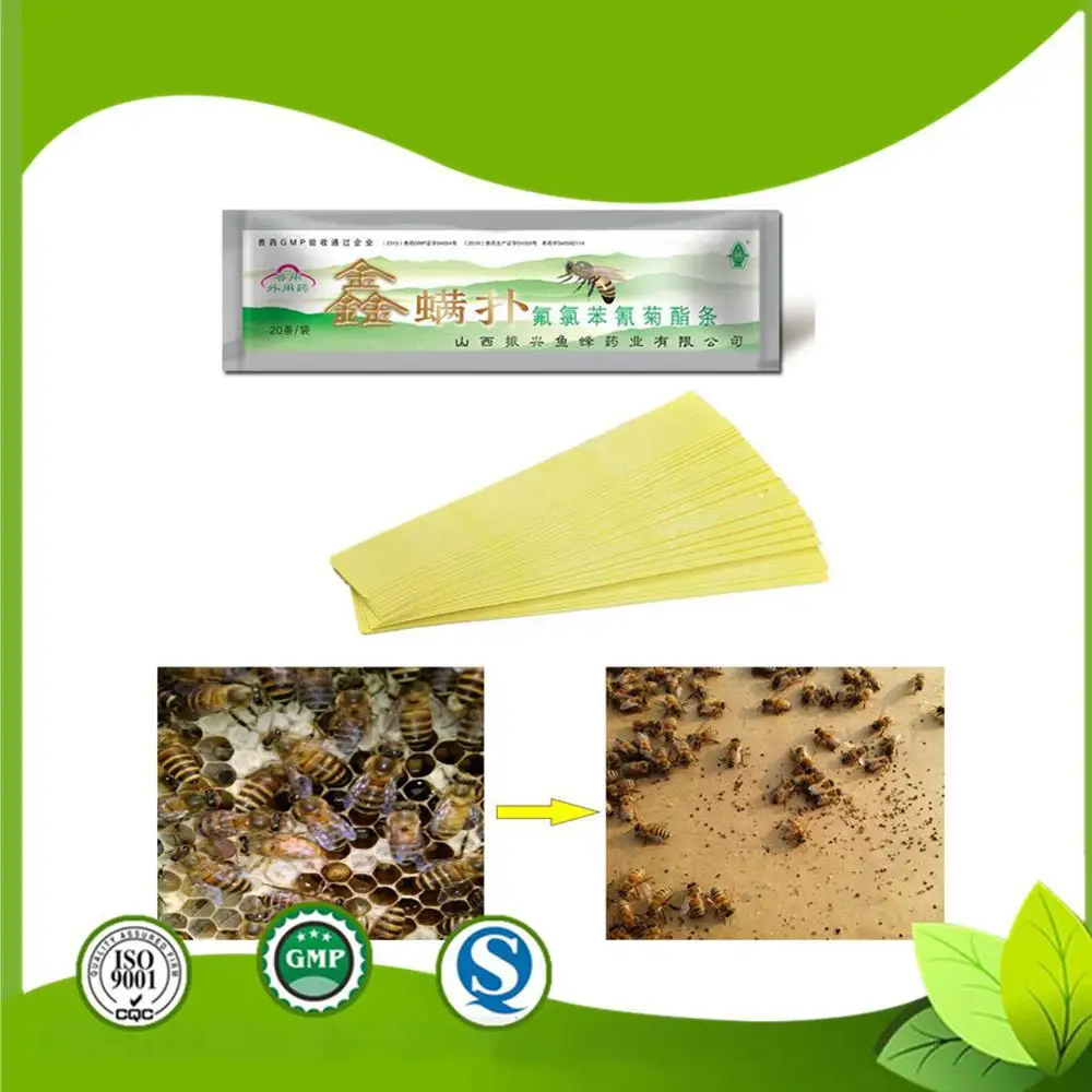 

Professional Bee Acaricide Against The Bee Mite Strip Beekeeping Medicine Bee Varroa Mite Killer & Control Beekeeping Medicines