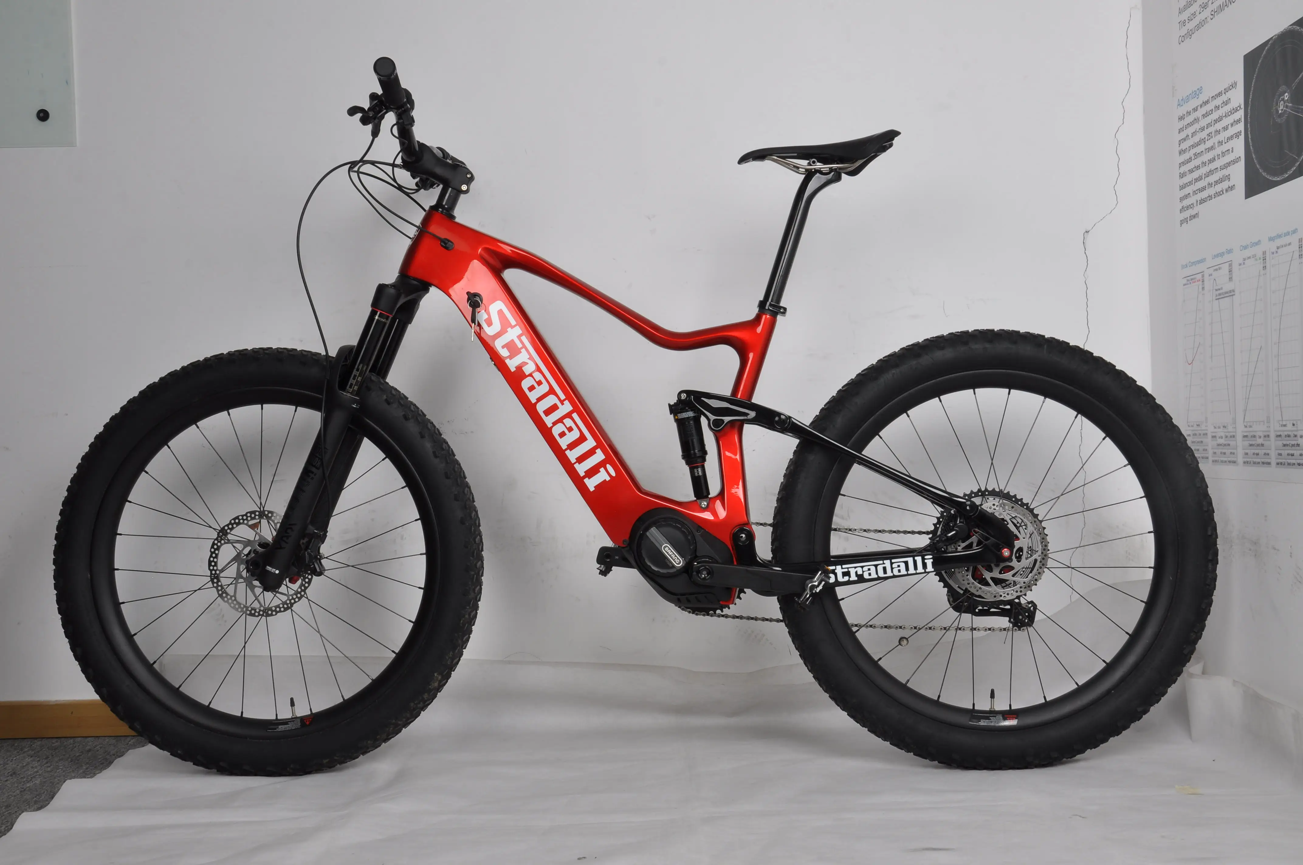 dengfu electric bike