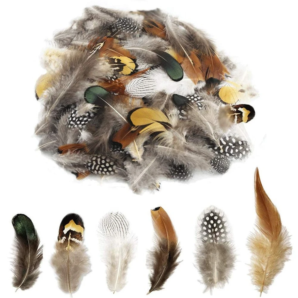 

50pcs Beautiful Natural Pheasant/Ostrich Feathers Wholesale Many Kinds Feather for Diy Crafts Jewelry Making Plumes Accessories