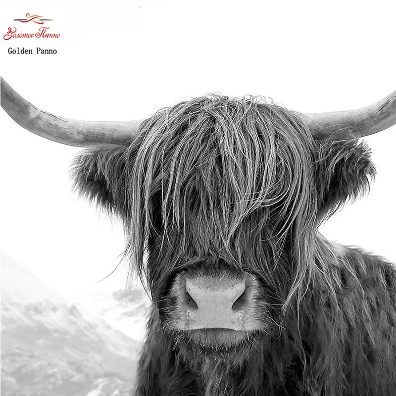 5d DIY Diamond Embroide Highland Cow Full  square Diamond Painting Cross Stitch Black White art Diamond Mosaic home decor