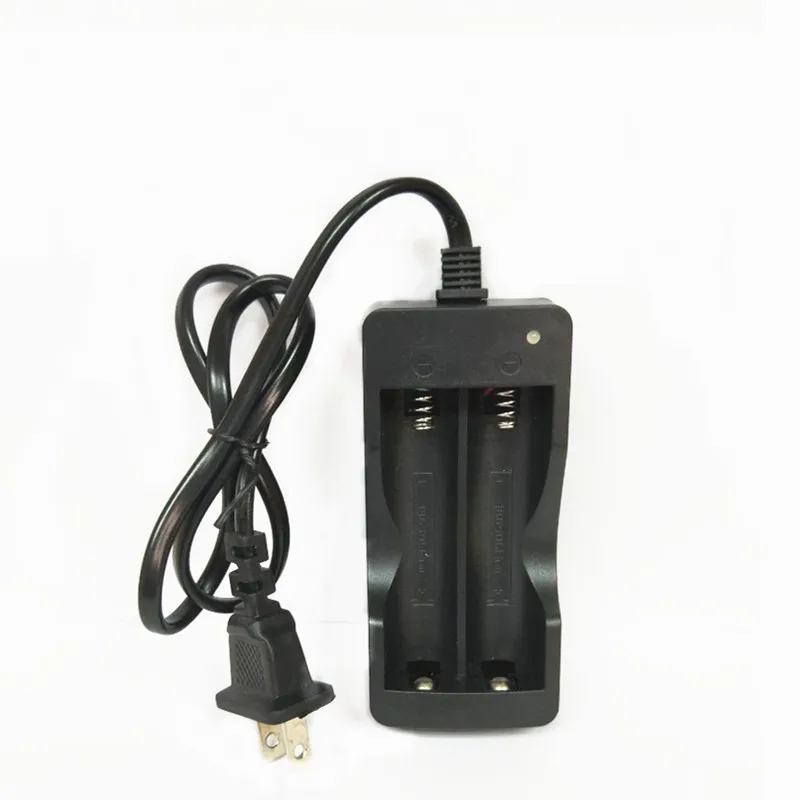 Ловкий 110V 220V AC двойной Зарядное устройство по стандартам ЕС/штепсельная вилка