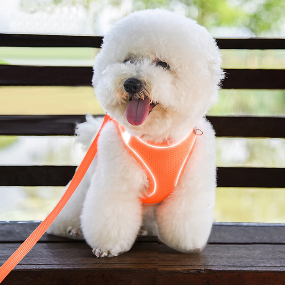 Комплект шлейки для собак светоотражающие регулируемые ремни домашних животных