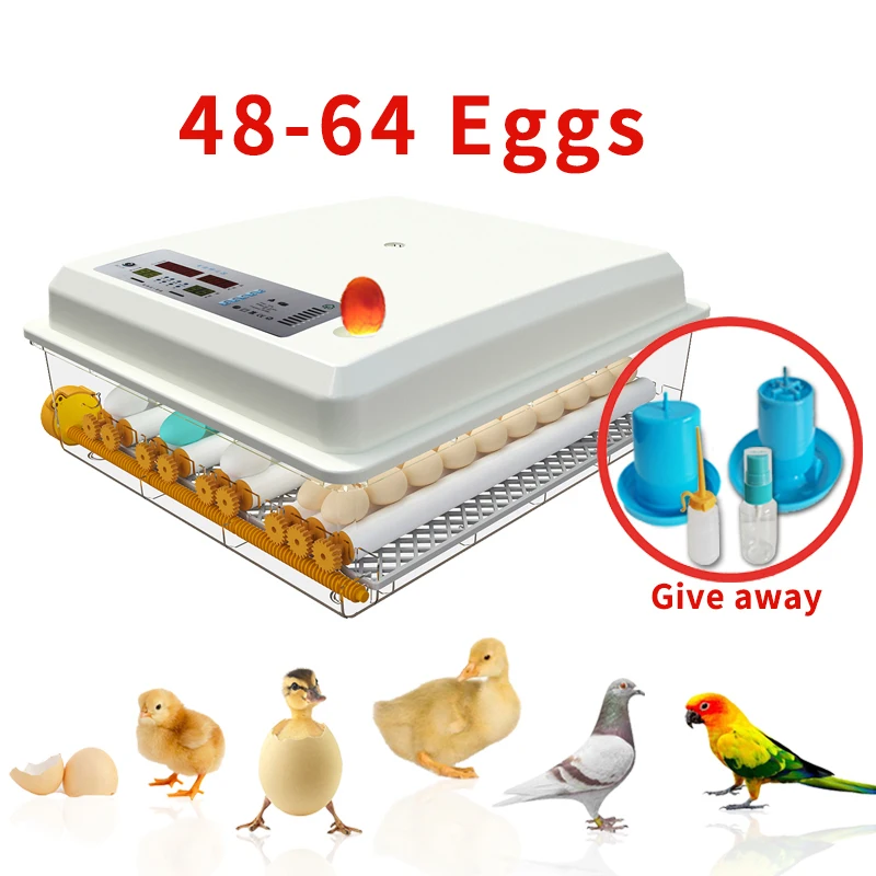 

DOAO Egg Incubator Brooder 48-64 Egg Incub Farm Chicken Bird Quail Automatic Incubator Hatcher Newest Poultry Hatchery Machine