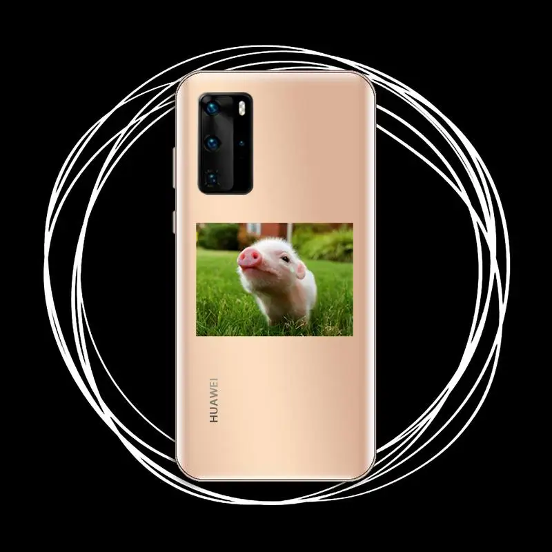 

Cute Little Pink Pet Pig Phone Case Transparent for Huawei P20 P30 P40 honor 8 10i P smart 2019 Samsung A71 A21S S10 20 plus