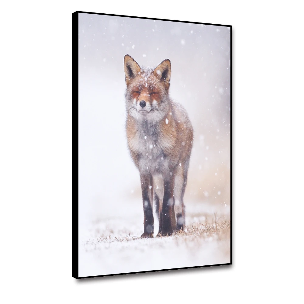 Laeacco Snow Fox Canvas Painting Calligraphy Posters and Prints Wall Art Picture for Bedroom Living Room Home Decoratioin |