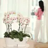 Изображение товара 1